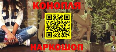 индика Новодвинск