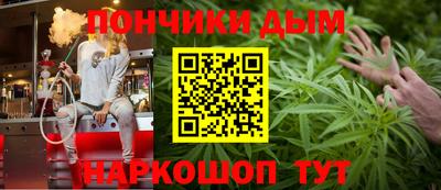 индика Новодвинск