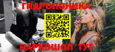 индика Новодвинск