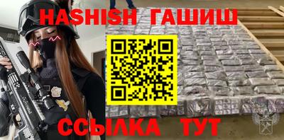 индика Новодвинск