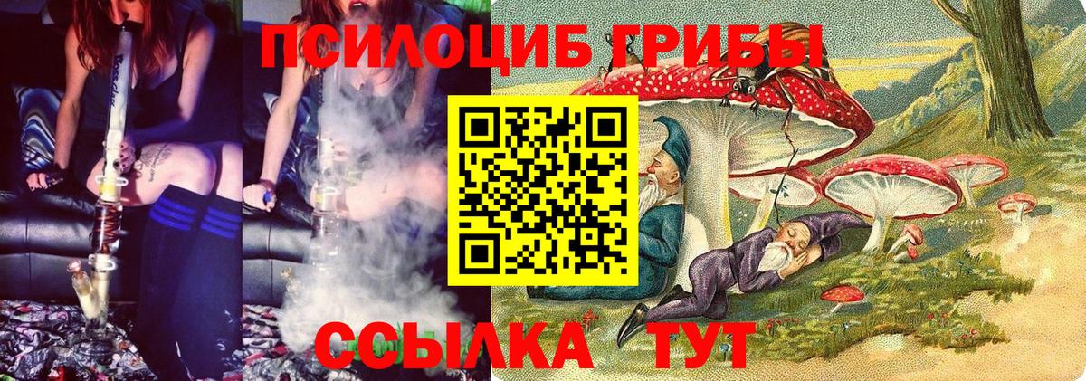 Псилоцибиновые грибы Psilocybine cubensis  где можно купить   Серов  Вход с VPN 