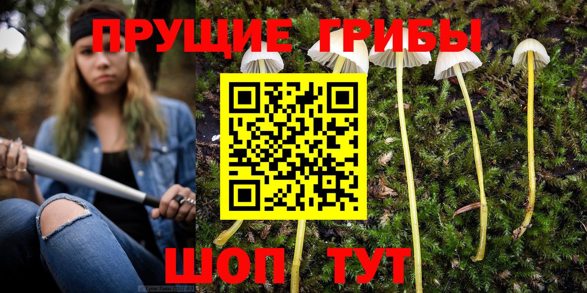 Псилоцибиновые грибы GOLDEN TEACHER Серов